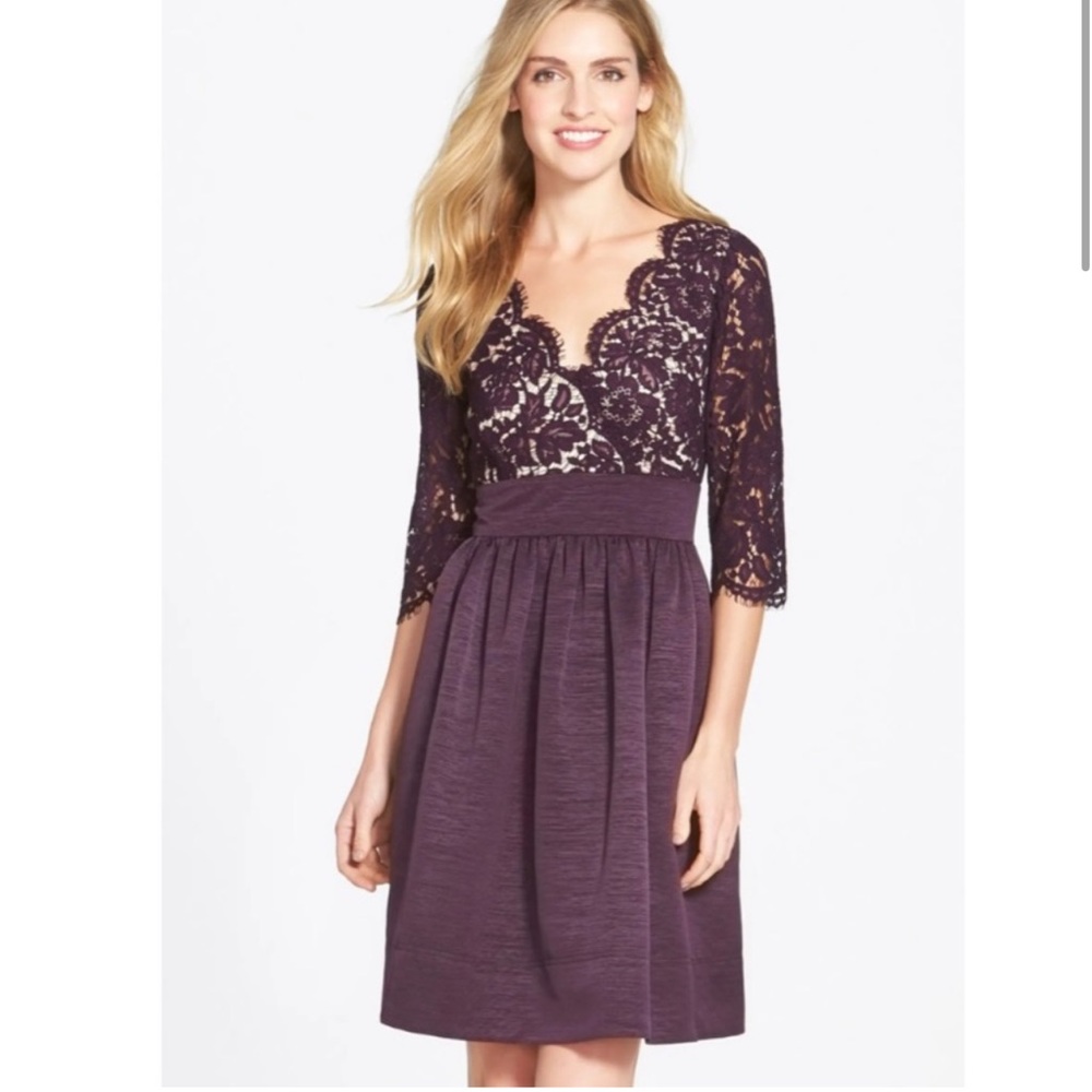 Eliza J. Eggplant Purple Lace Faille Cocktail Dress Size 8